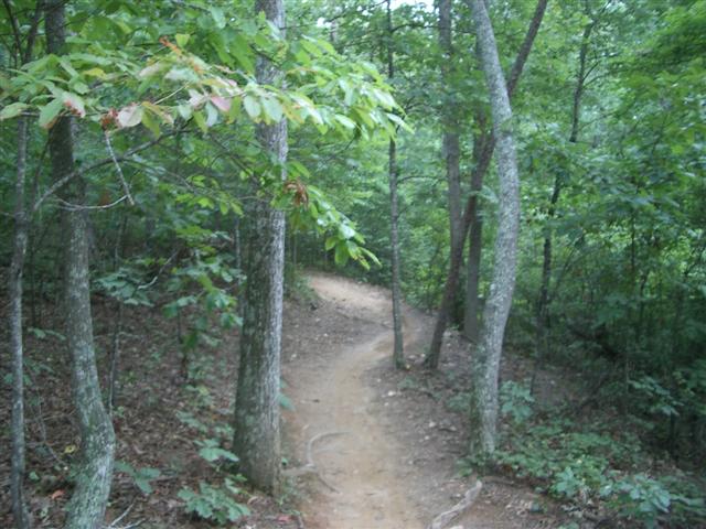 single track riding