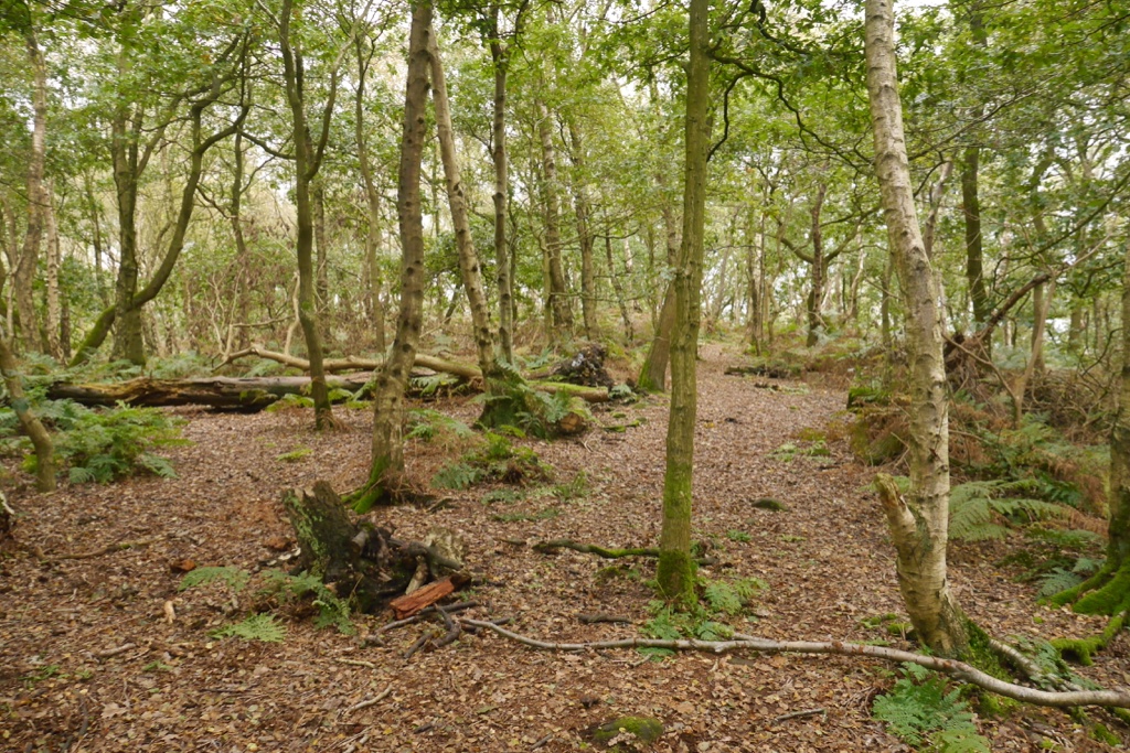Woodhouse hill fort