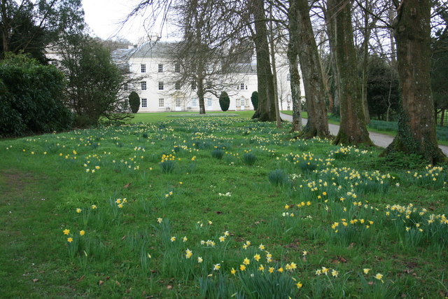 File:The garden at Saltram - geograph.org.uk - 1194649.jpg