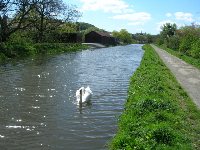 File:Union Canal - geograph.org.uk - 309648.jpg