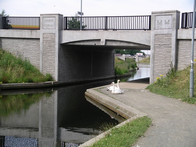 File:Urban wildlife - geograph.org.uk - 25687.jpg