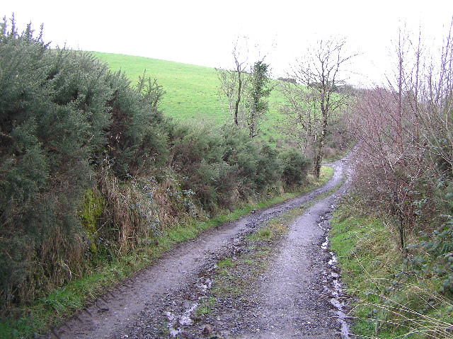 File:Ushinagh Townland - geograph.org.uk - 107277.jpg