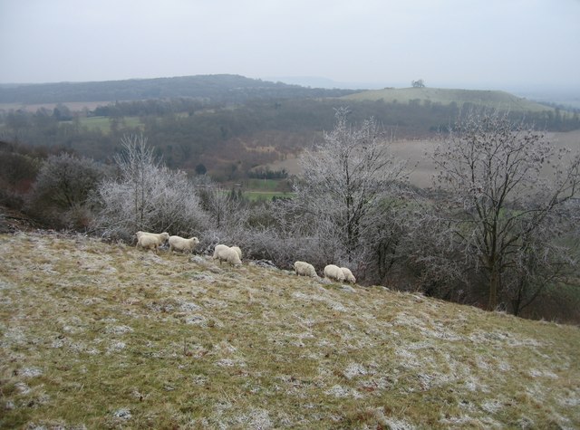 File:View of Beacon Hill - geograph.org.uk - 1301302.jpg