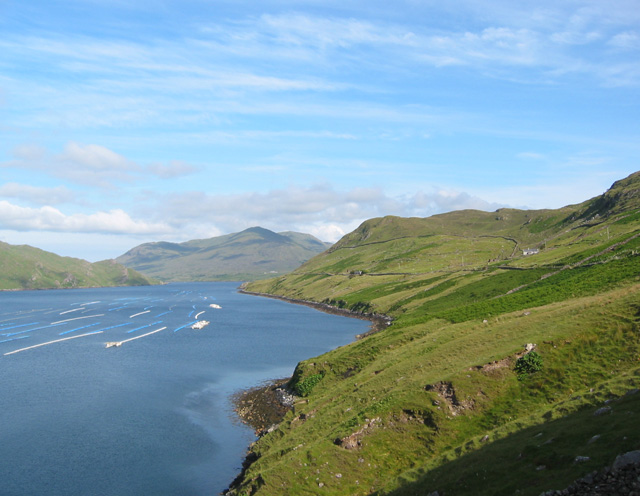 File:View south east down Killary Harbour - geograph.org.uk - 201456.jpg