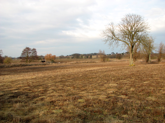 File:View towards the River Ore from Beversham Crossing, Blaxhall - geograph.org.uk - 2790436.jpg