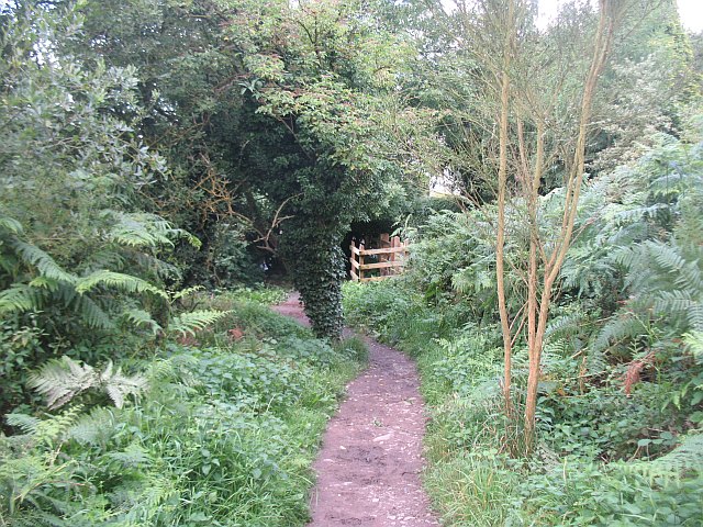 Woodland path, Lyth Hill - geograph.org.uk - 1614222