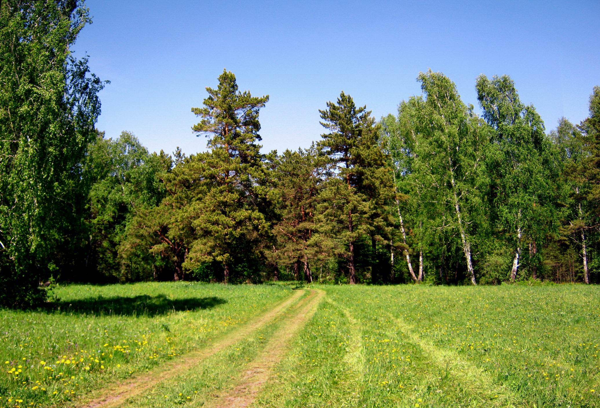 Ясная поляна железногорск красноярский край