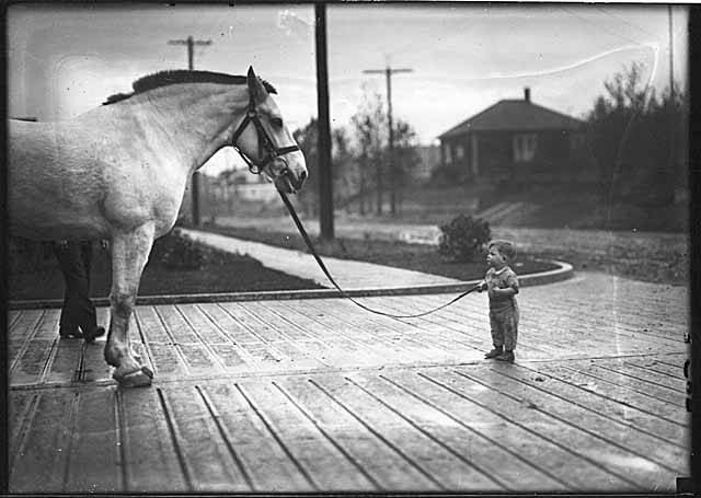 File:Young boy Frankie Williams with "Dimple," fire department horse, Seattle, 1922 (MOHAI 1753).jpg