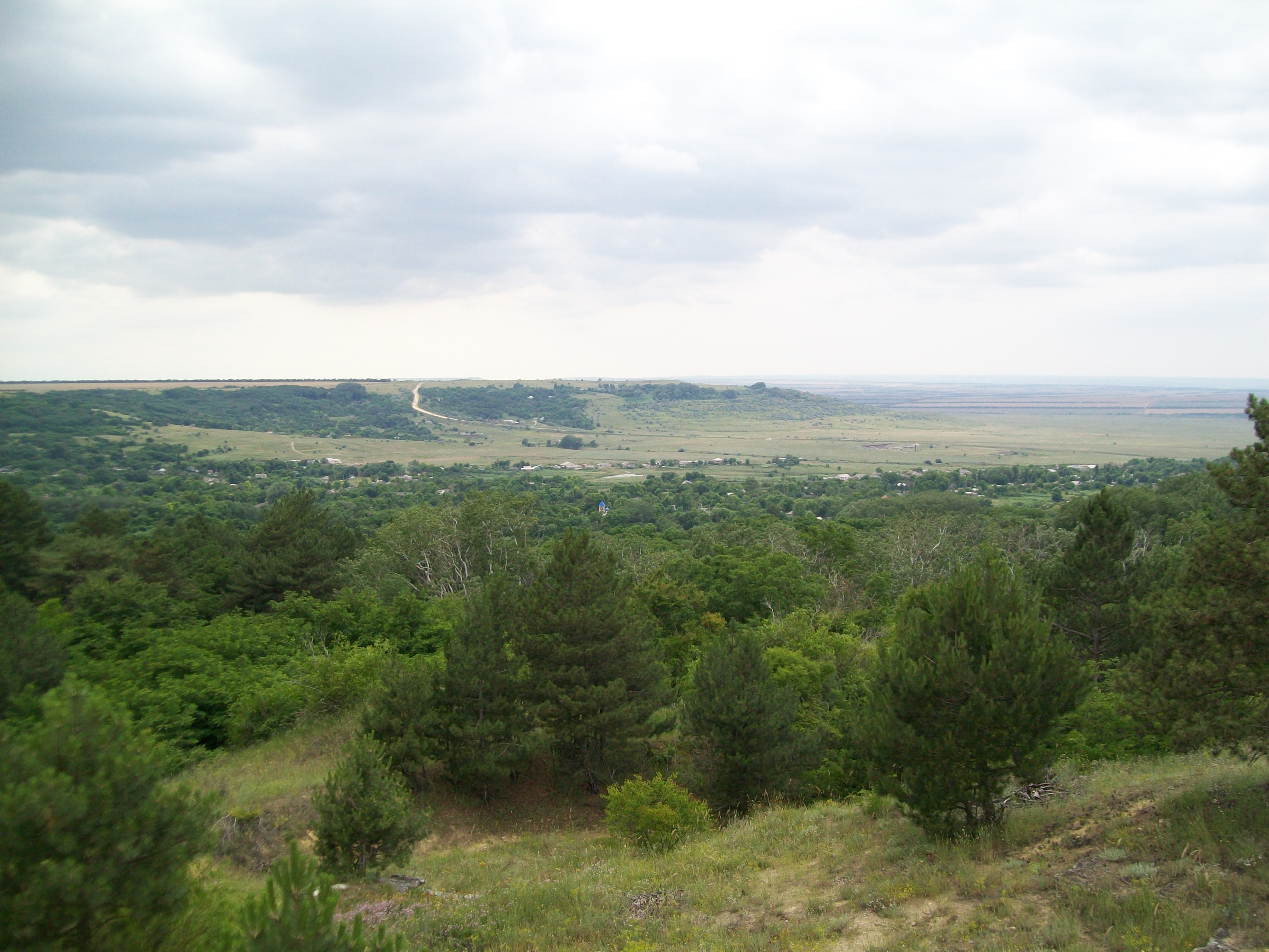 Бешпагир карта спутник