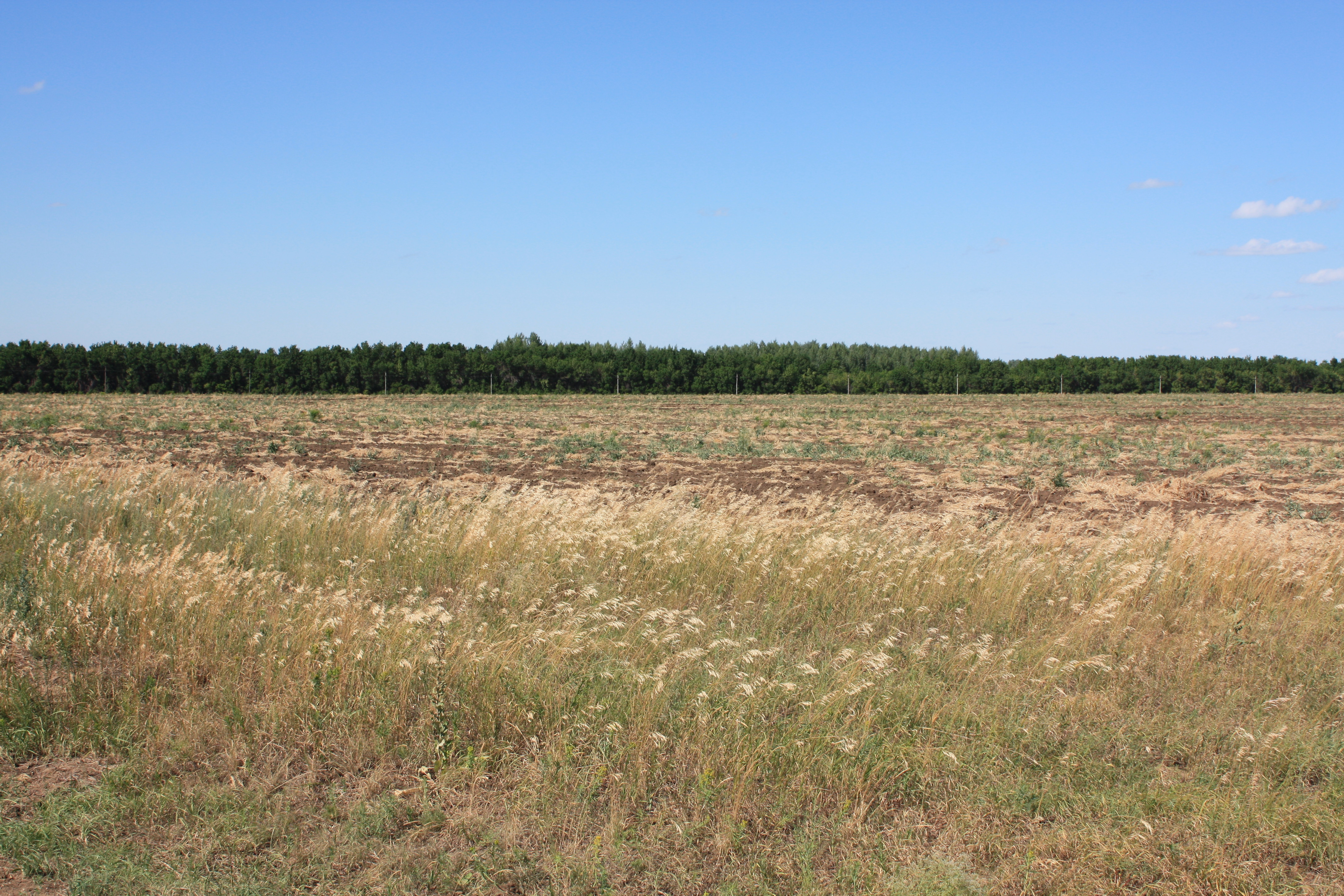 Село рыжевка курская область. Деревня рассыпная Оренбургская область. Село Луговск. Красная Житница Оренбургская область село. Деревня Ореховка Оренбургская область.