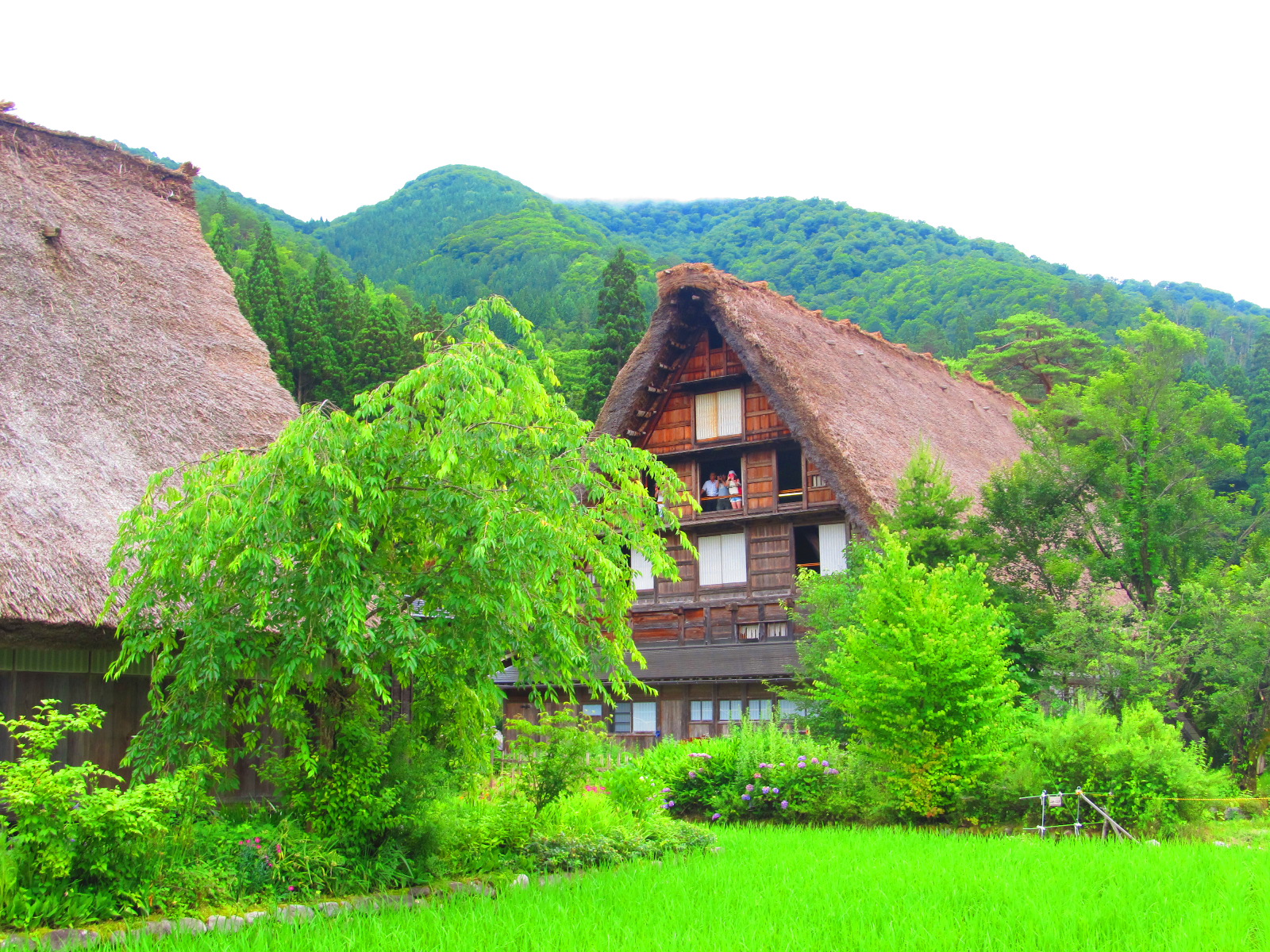 File:白川郷合掌造り - panoramio.jpg - Wikimedia Commons -ในช่วงฤดูใบไม้ผลิ ของหมู่บ้าน ชิราคาวาโกะ