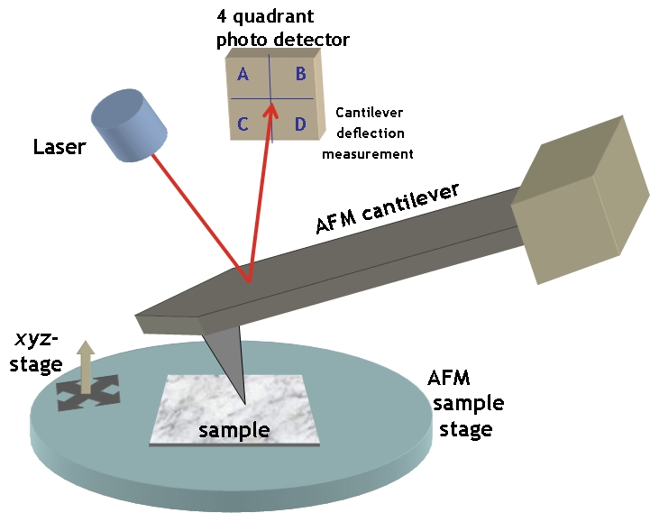 Atomic force microscopy (AFM) and piezoresponse force m