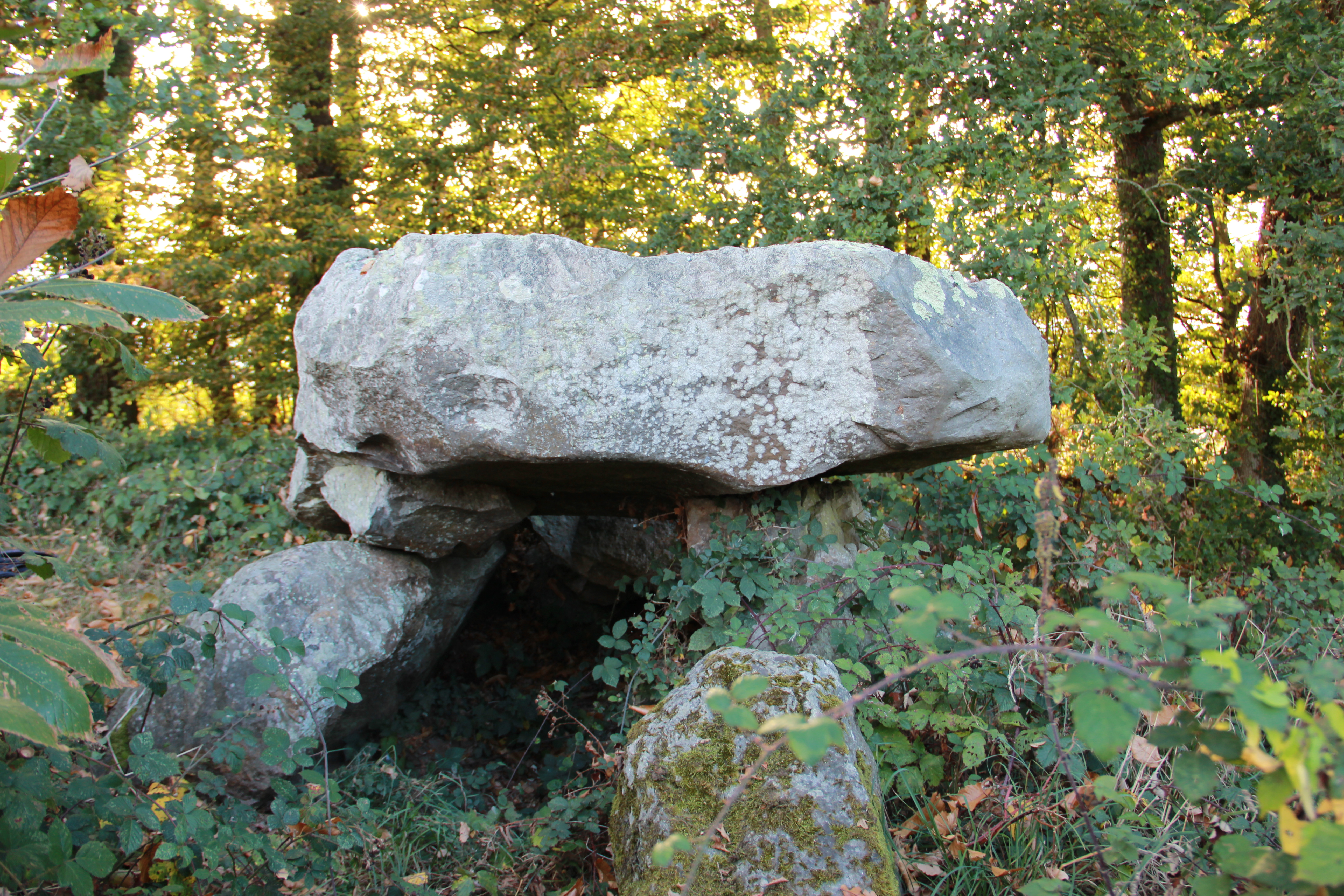 Allée Couverte du Bois Rocher  France Bretagne Côtes-d'Armor La Vicomté-sur-Rance 22690