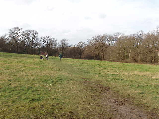 File:Ancient meadow by Horsenden Hill - geograph.org.uk - 678559.jpg