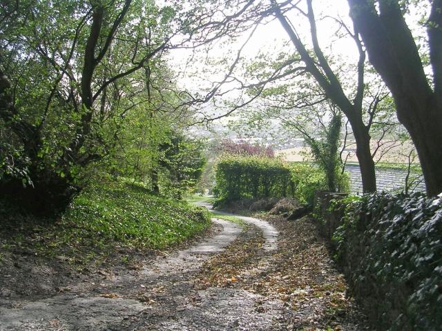 File:Arbour Top - Grange Road, Farnhill - geograph.org.uk - 1016735.jpg