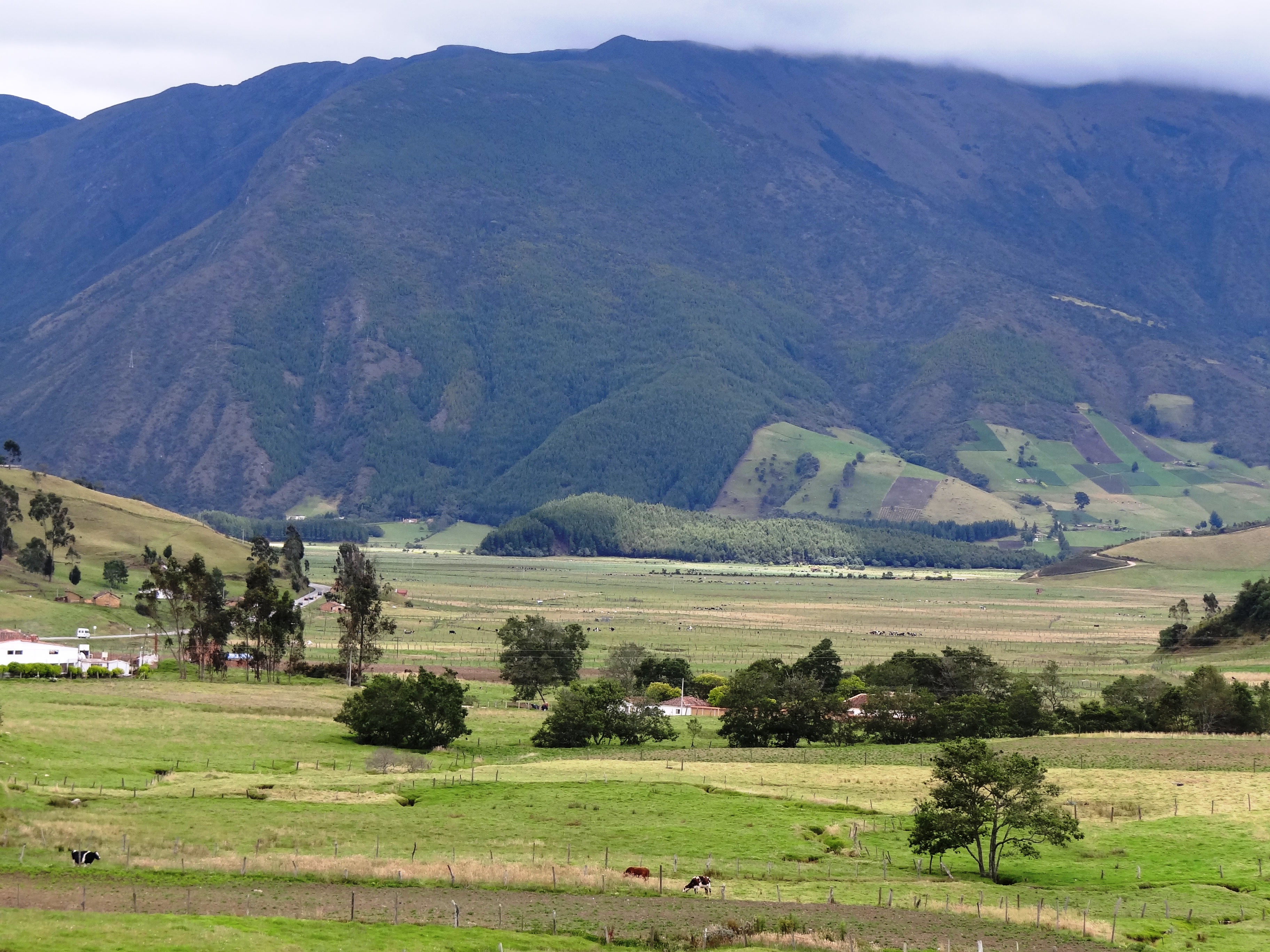 Plateau, PDF, Agricultura