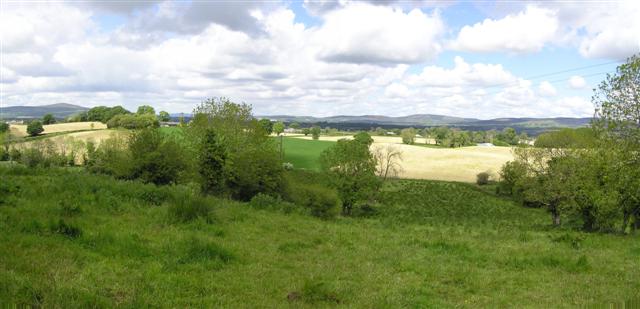 File:Ballygowan Townland, Omagh - geograph.org.uk - 447428.jpg