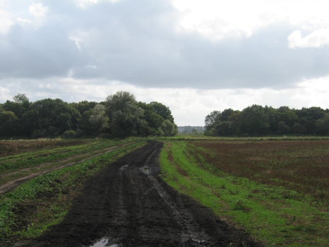 File:Black as the ace of spades^ - geograph.org.uk - 570045.jpg