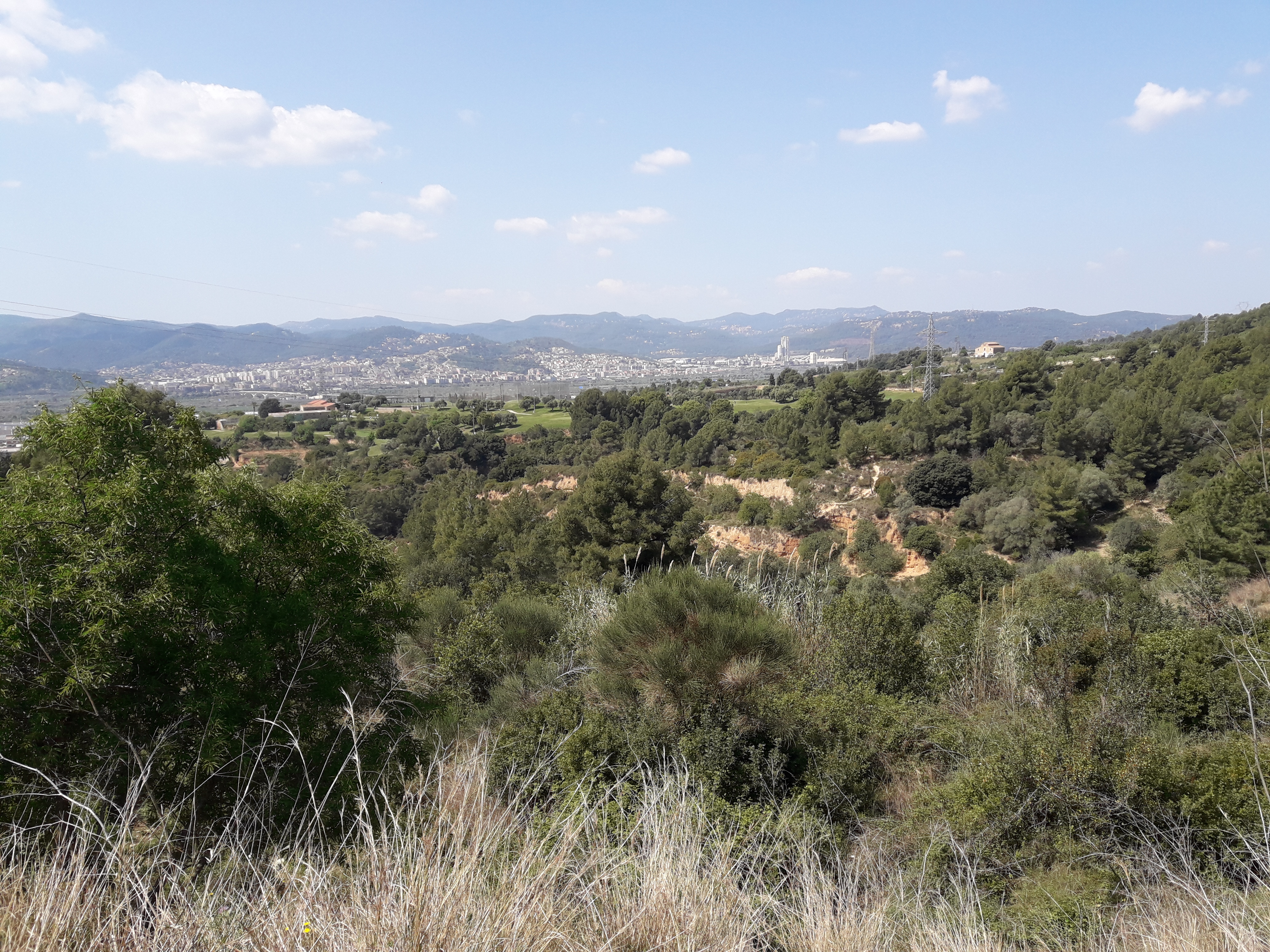 Nutricionista sant feliu de llobregat