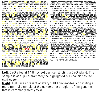 File:CpG island.png