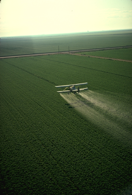 https://upload.wikimedia.org/wikipedia/commons/5/5e/Cropduster_spraying_pesticides.jpg