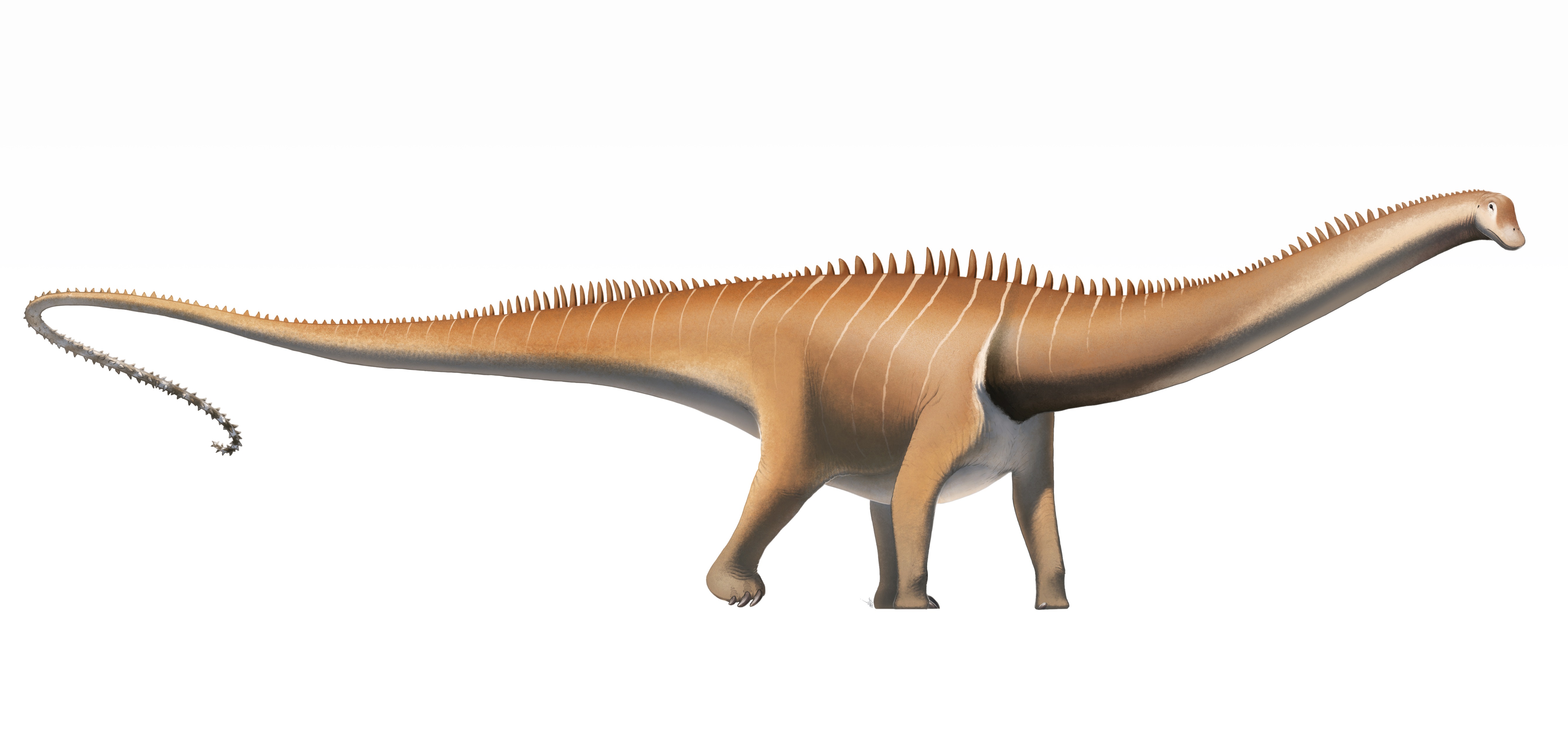 schleich diplodocus