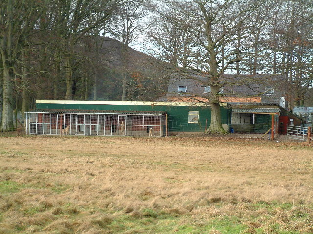 Shadesbury Pound Dog_breeding_cages_-_geograph.org.uk_-_105536