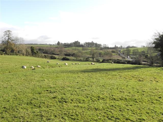 File:Drumnakilly Townland - geograph.org.uk - 1569272.jpg