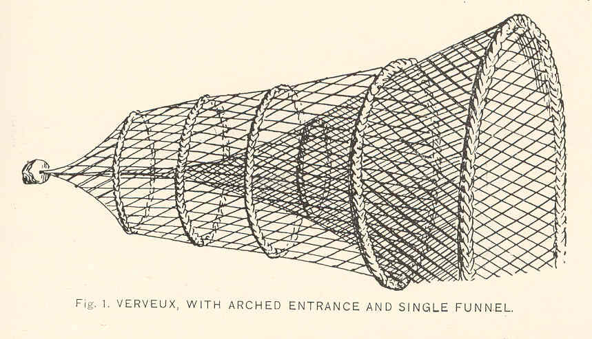 File:FMIB 40179 Types of French Fyke Nets- Verveux, with Arched Entrance  and Single Funnel.jpeg - Wikimedia Commons