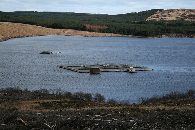 File:Fish Farm on Loch Garasdale - geograph.org.uk - 733733.jpg