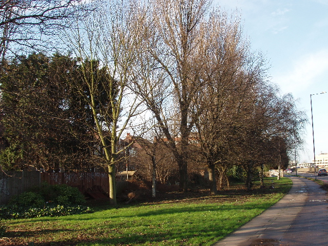 File:Green corridor by Western Avenue - geograph.org.uk - 315990.jpg