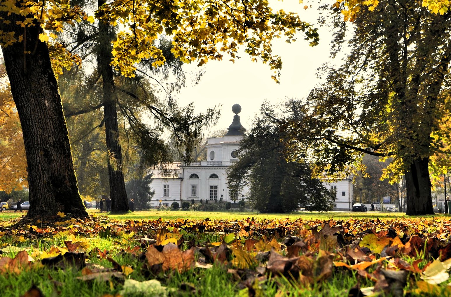 Trasy na rower szosowy - Jabłonna