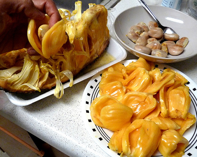 File:JackfruitArils&Seeds.jpg