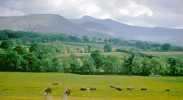 File:Libanus Brecon Beacons geograph-3370071-by-Ben-Brooksbank.jpg