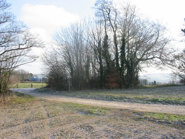 File:Looking East through small copse towards Highden Barn - geograph.org.uk - 97545.jpg