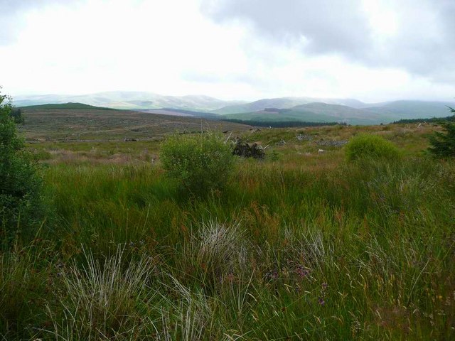 File:Looking over Loch Dow in the Glentrool Forest - geograph.org.uk - 1400421.jpg