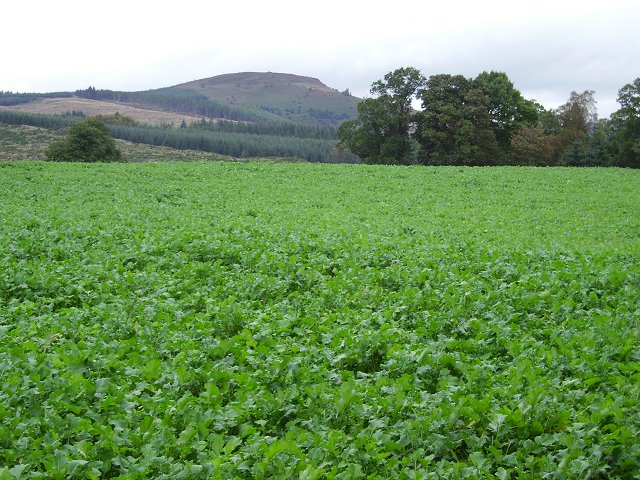 File:Mains of Drummond - geograph.org.uk - 274772.jpg