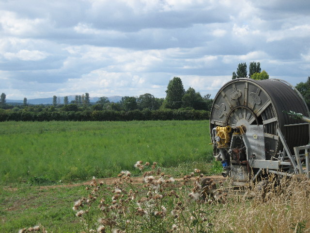 File Market Gardening Near Fladbury Geograph Org Uk 39860 Jpg