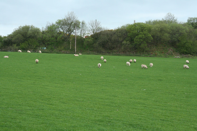 File:Martinhoe, towards Higher Bodley - geograph.org.uk - 166145.jpg