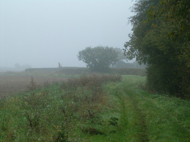 File:On the Edge of the Wood - geograph.org.uk - 259746.jpg