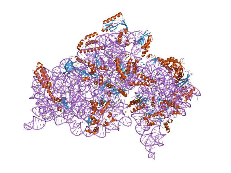 File:PDB 1ibk EBI.jpg