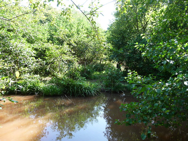 File:Paignton , Paignton Zoo - Lagoon and Gorilla Island - geograph.org.uk - 1483515.jpg