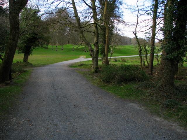 File:Path, Clandeboye Golf Course - geograph.org.uk - 754839.jpg