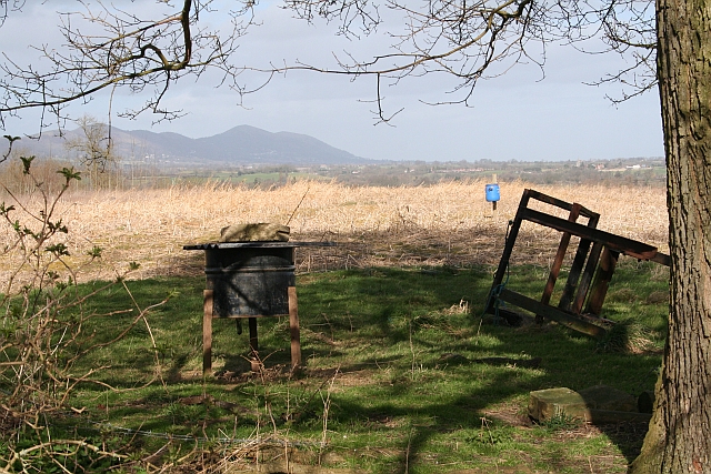 File:Pheasant Feeders - geograph.org.uk - 710005.jpg