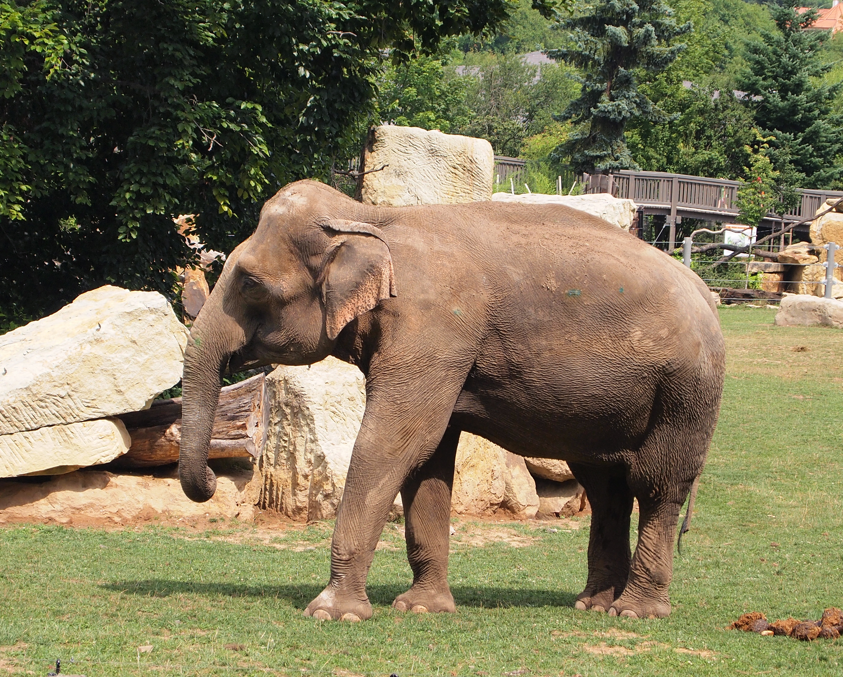 Zoo Praha