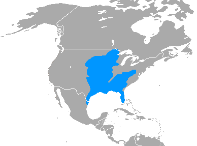 File:Spilogale putorius range map.png