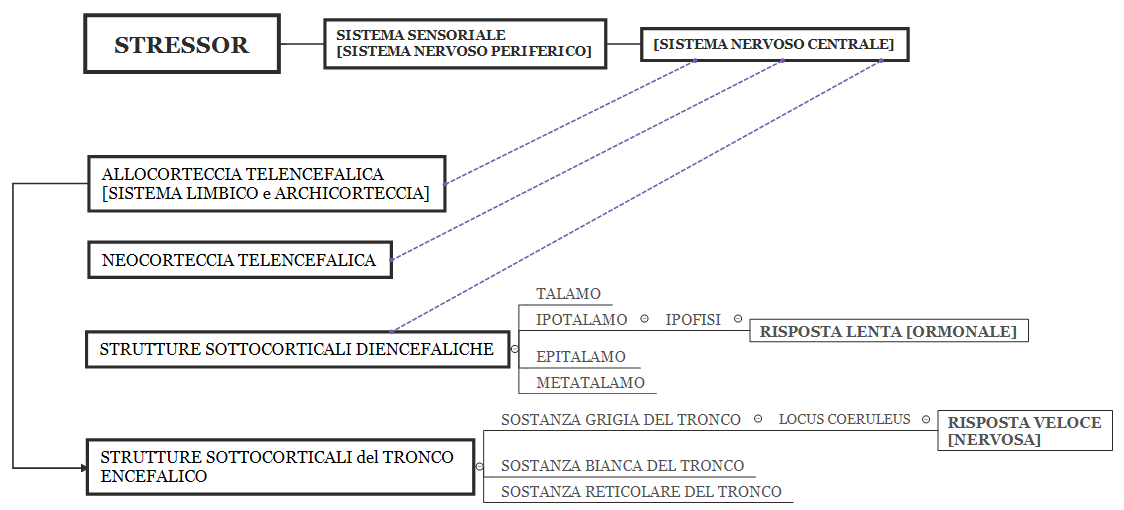 Stress Wikipedia