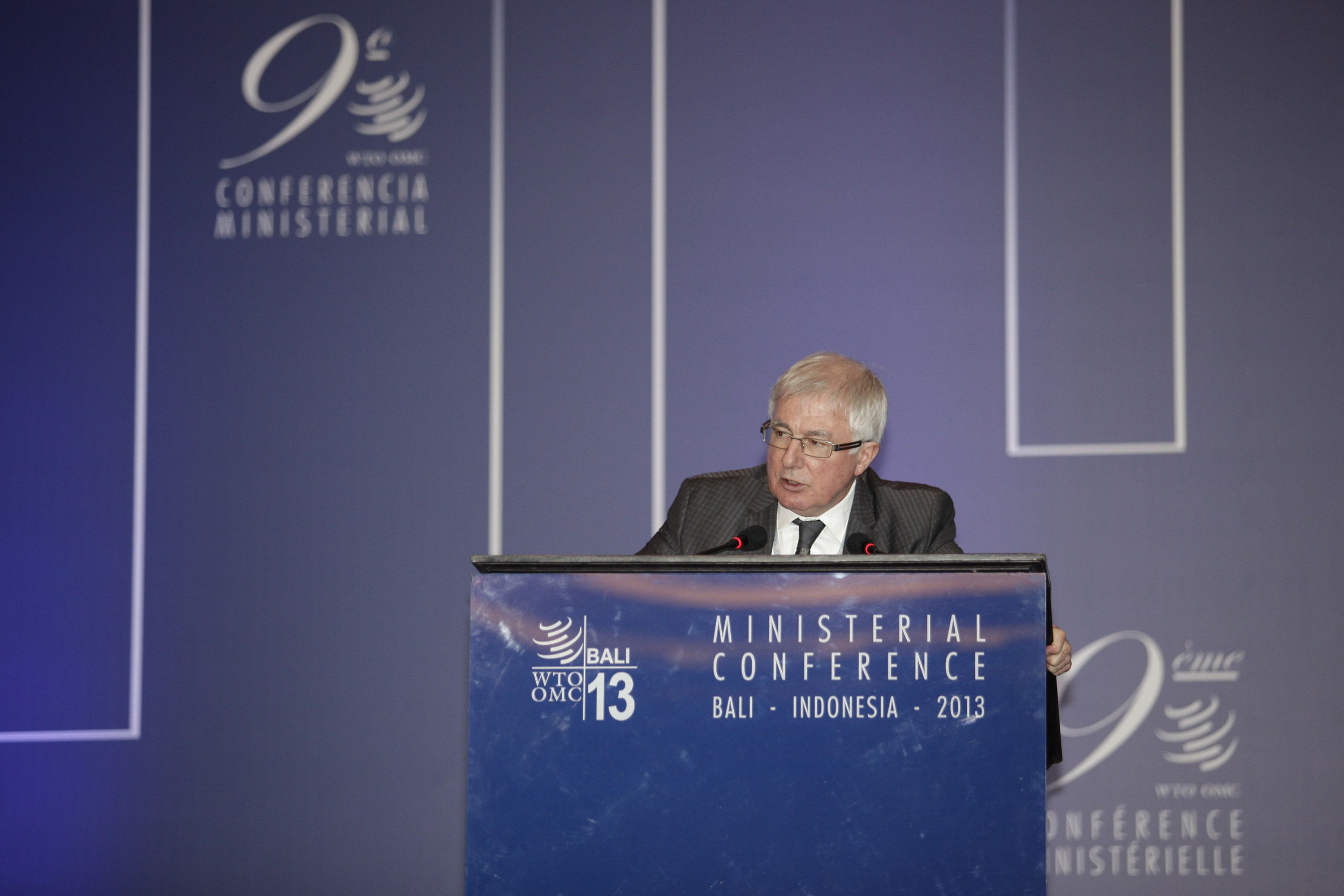Международные конференция 2013