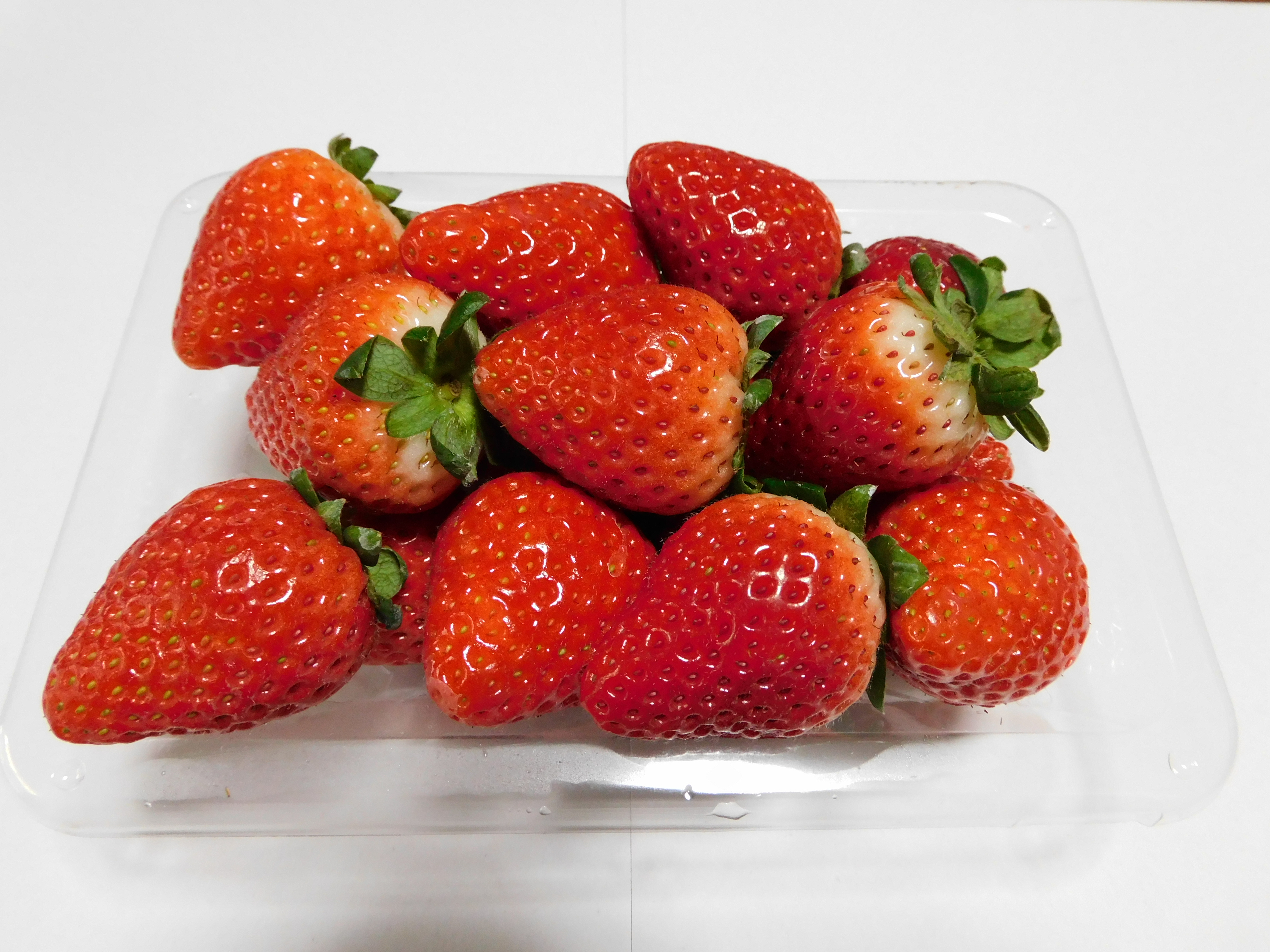 ファイル:Tochiaika, special strawberry created in Tochigi 