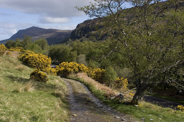 File:Track to Shenavall - geograph.org.uk - 1309253.jpg